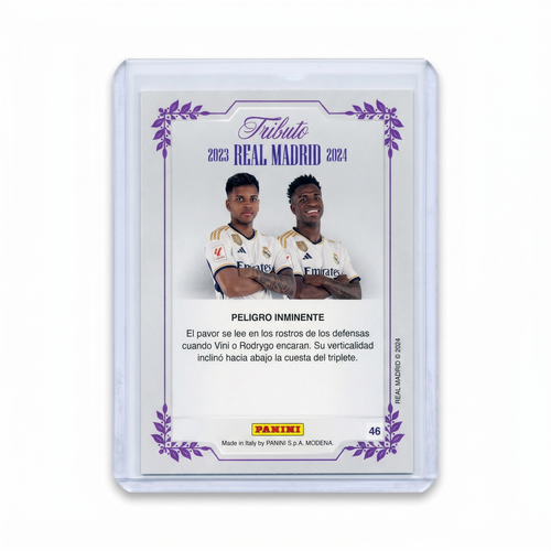 2024 Panini THREE TIME CHAMPIONS REAL MADRID Vini Jr & Rodrygo SINERGY #46 2